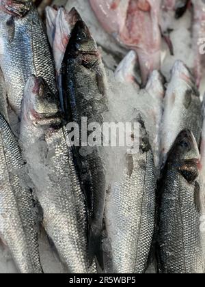 Eine Auswahl an frisch gefangenen Fischen liegt auf einem Eisbett auf einem Markt, bereit zum Kochen und Genießen Stockfoto