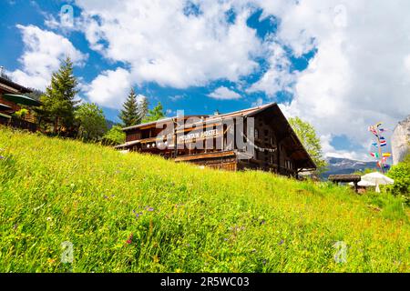 Das Äußere des Berghotels Gimmelwald im kleinen Bauerndorf Gimmelwald mit Schweizer Alpen im Hintergrund, Schweiz Stockfoto