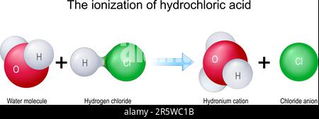 Die Ionisation der Salzsäure. Die Moleküle H2O und HCl bilden durch eine chemische Reaktion zusammen Hydronium-Kation H3O und Chloridanion Cl Stock Vektor