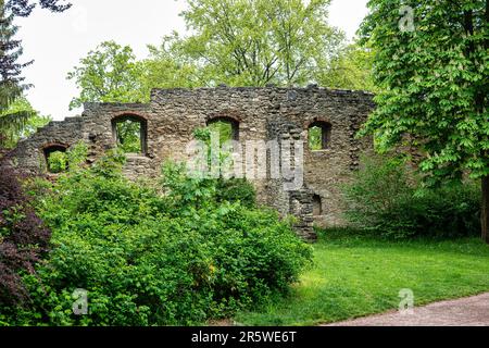 Haus der Templer im öffentlichen Park am Fluss Ilm in Weimar, Thüringen, Deutschland. Ruinen des ehemaligen Veranstaltungsortes Stockfoto