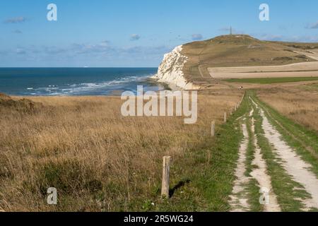 Die Klippen von Cap Blanc-Nez bei Calais, Frankreich, im Sommer Stockfoto