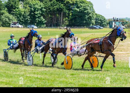 Lyre, West Cork, Irland. 5. Juni 2023. Die Irish Harness Racing Association (IHRA) veranstaltete in Lyre in der Nähe von Clonakilty über das Feiertagswochenende eine irische amerikanische Feier. Der Feiertag war der Abschlusstag mit einer 8-Dollar-Rennkarte und einer Menge Zuschauer. Rennen 1 war sehr nah. Kredit: AG News/Alamy Live News Stockfoto