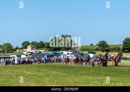 Lyre, West Cork, Irland. 5. Juni 2023. Die Irish Harness Racing Association (IHRA) veranstaltete in Lyre in der Nähe von Clonakilty über das Feiertagswochenende eine irische amerikanische Feier. Der Feiertag war der Abschlusstag mit einer 8-Dollar-Rennkarte und einer Menge Zuschauer. Das Rennen 7 wurde von „Elysium D'Ostal“ gewonnen, angetrieben von Martin Loughran. Kredit: AG News/Alamy Live News Stockfoto