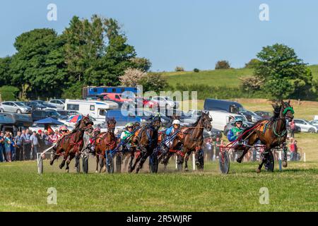 Lyre, West Cork, Irland. 5. Juni 2023. Die Irish Harness Racing Association (IHRA) veranstaltete in Lyre in der Nähe von Clonakilty über das Feiertagswochenende eine irische amerikanische Feier. Der Feiertag war der Abschlusstag mit einer 8-Dollar-Rennkarte und einer Menge Zuschauer. Das Rennen 8 wurde von „Rhyds Rival“ gewonnen, der von Billy Roche gefahren wurde. Kredit: AG News/Alamy Live News Stockfoto