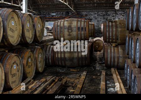 Ardbeg-Fässer reifen im Obligationslager, Ardbeg on Islay, Schottland. Stockfoto