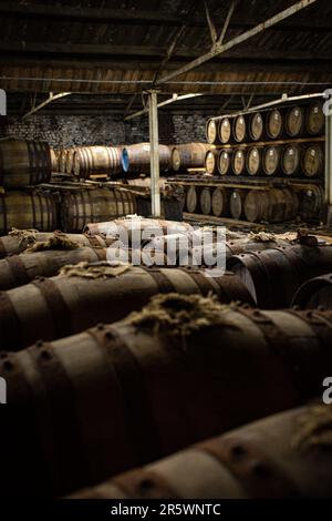 Ardbeg-Fässer reifen im Obligationslager, Ardbeg on Islay, Schottland. Stockfoto