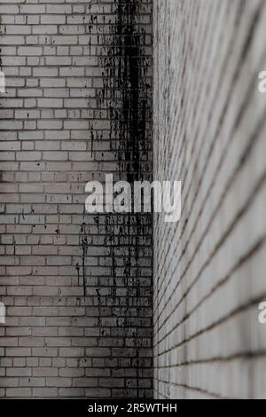 Nahaufnahme eines roten Hydranten zwischen zwei roten Backsteinwänden eines Gebäudes in einer städtischen Umgebung Stockfoto