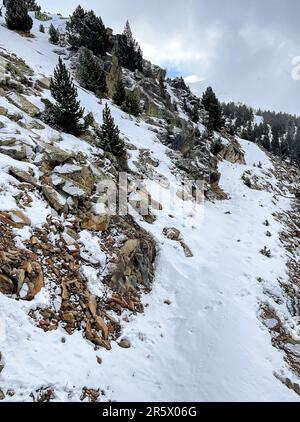 Schneebedeckte Bergschlucht mit Granitfelsen und Kiefern mit einigen Fußabdrücken auf der schneebedeckten Bergroute Stockfoto