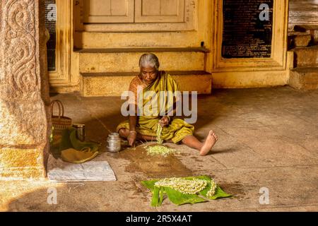 Madurai, Tamil Nadu, Indien - 10. Dezember 2013. Ein älterer Indianer sitzt auf dem Boden eines hinduistischen Tempels und zieht traditionelle Jasminblumen zum Verkauf auf. Stockfoto