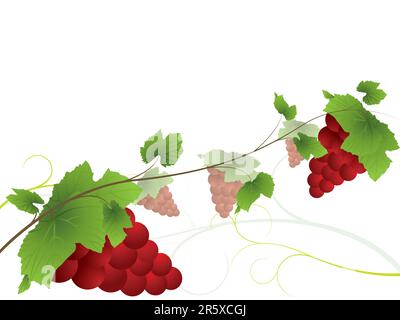 Teil meiner Weinsammlung. Bitte überprüfen Sie mein Portfolio, um weitere Informationen aus der Serie zu erhalten. Stock Vektor