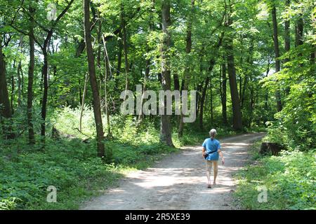 Ältere Frau mit langen grauen Haaren wandert im Sommer auf dem des Plaines River Trail in des Plaines, Illinois Stockfoto