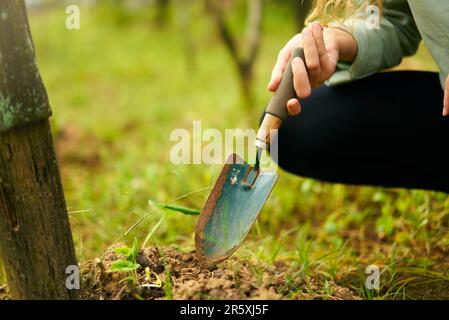 Weibliche Hände halten eine kleine Gartenschaufel. Bauernfrau sitzt im Garten und gräbt Erde mit Walze und macht Nahaufnahmen. Junger Gärtner im Obstgarten Stockfoto