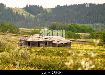 Der alte Glenbow General Store und das Postamt im Glenbow Ranch Provincial Park. Stockfoto