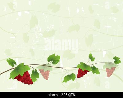 Teil meiner Weinsammlung. Bitte überprüfen Sie mein Portfolio, um weitere Informationen aus der Serie zu erhalten. Stock Vektor