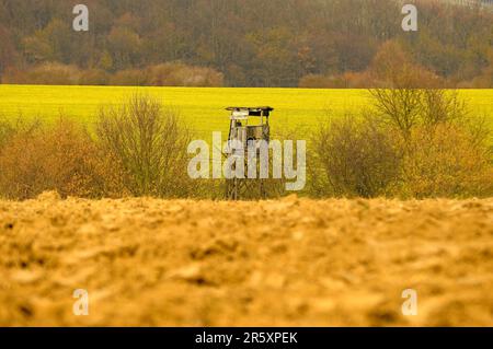 Jägersitz, Hochsitz, Jagdsitz, Jägersitz, Hochstand Stockfoto