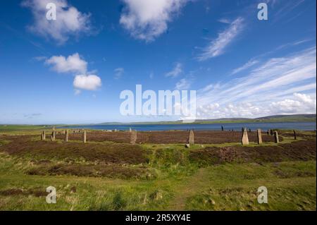 Ring of Brodgar, Neolithic Cult Site, Stromness, Festland, Orkney Islands, Schottland, Henge, das Herz des jungsteinzeitlichen Orkney, Ring of Brodgar, Stone Stockfoto