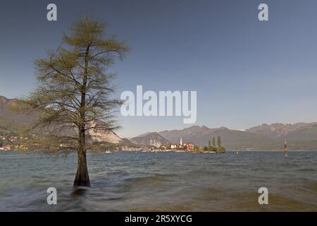 Blick auf Isola dei Pescatori, Lago Maggiore, Borromäische Inseln, Piemont, Isola Superiore, Lago Maggiore, Fishermen's Island, Fishermen's Island Stockfoto