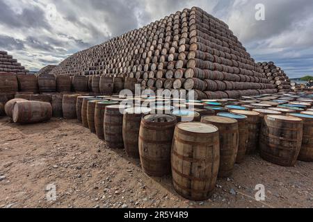 Whisky-Fässer, Schottland, Großbritannien Stockfoto