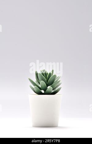 Kaktus im Blumentopf. Künstliche Pflanze im weißen Topf isoliert auf weißem Hintergrund. Vertikales Bild. Stockfoto