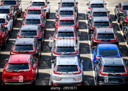 Bremerhaven, Deutschland. 26. April 2023. Parkplätze befinden sich auf dem Gelände des BLG Autoterminal Bremerhaven. Kredit: Sina Schuldt/dpa/Alamy Live News Stockfoto