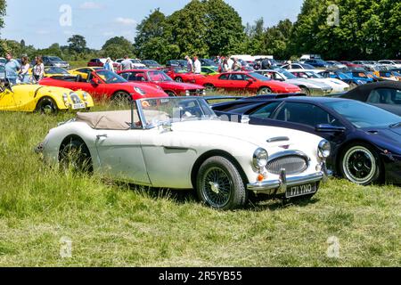 Austin Healeu 3000 MKIII am Tag der offenen Tür im Middlewick House Gardens Corsham Wiltshire UK Stockfoto