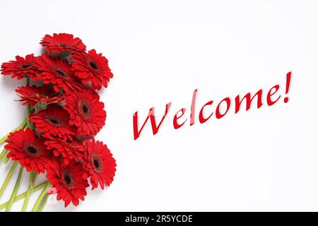Willkommenskarte. Wunderschöne rote Gerbera-Blumen und ein Wort auf weißem Hintergrund, Draufsicht Stockfoto