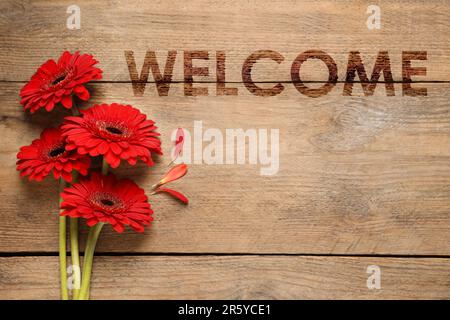 Willkommenskarte. Wunderschöne rote Gerbera-Blumen und ein Wort auf einem Holztisch, Blick von oben Stockfoto