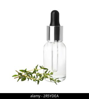 Flasche ätherisches Thymianöl und frische grüne Zweige auf weißem Hintergrund Stockfoto