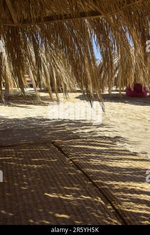 Sonnenschirm aus trockenen Palmenblättern. Sommerreise- und Urlaubskonzept. Konsistenz der getrockneten Blätter. Das Dach des Sonnenschirms besteht aus getrocknetem Palmenzweig Stockfoto