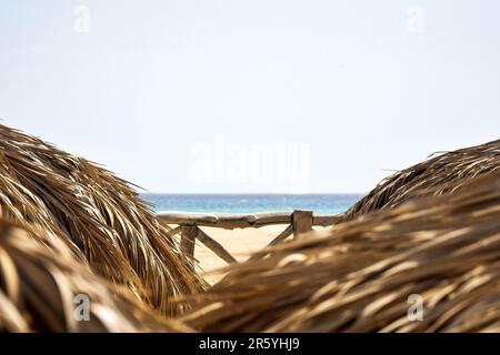 Sonnenschirm aus trockenen Palmenblättern. Sommerreise- und Urlaubskonzept. Konsistenz der getrockneten Blätter. Das Dach des Sonnenschirms besteht aus getrocknetem Palmenzweig Stockfoto