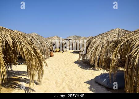 Sonnenschirm aus trockenen Palmenblättern. Sommerreise- und Urlaubskonzept. Konsistenz der getrockneten Blätter. Das Dach des Sonnenschirms besteht aus getrocknetem Palmenzweig Stockfoto