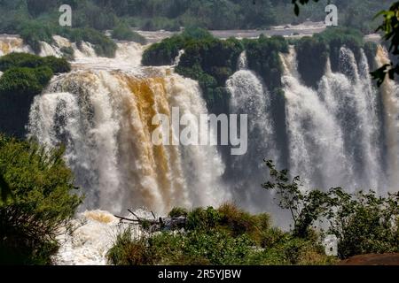 Blick auf mächtige Wasserfälle mit üppiger grüner Vegetation, Iguazu Falls, Argentinien Stockfoto