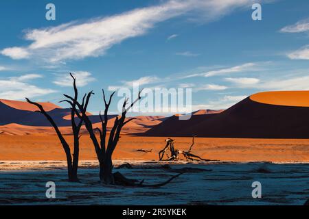 Surreale Landschaft bei Deadvlei im Namib-Naukluft Nationalpark, Namibia, Afrika. Stockfoto