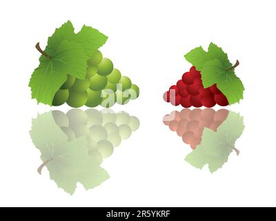 Teil meiner Weinsammlung. Bitte überprüfen Sie mein Portfolio, um weitere Informationen aus der Serie zu erhalten. Stock Vektor