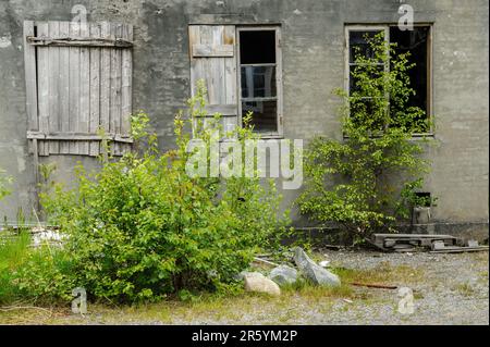 Altes, zerstörtes Fenster in einer Ziegelmauer mit grünen Bäumen Stockfoto