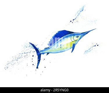 Blauer Marlin, Schwertfisch, Fischschwert, Makaira nigricans, isoliert, ozean, Seefische, Nahaufnahme, handgezeichnete Aquarelle auf Weiß Stockfoto