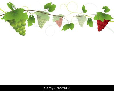 Teil meiner Weinsammlung. Bitte überprüfen Sie mein Portfolio, um weitere Informationen aus der Serie zu erhalten. Stock Vektor