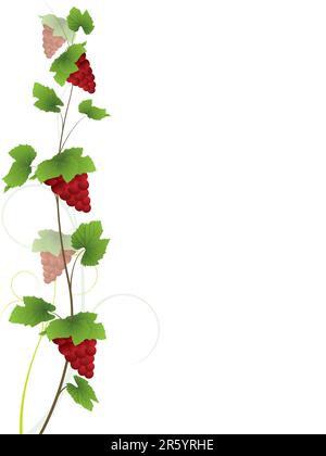 Teil meiner Weinsammlung. Bitte überprüfen Sie mein Portfolio, um weitere Informationen aus der Serie zu erhalten. Stock Vektor