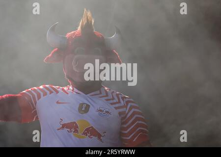 04. Juni 2023, Sachsen, Leipzig: Fußball: DFB Cup, nach dem Finale, RB Leipzig - Eintracht Frankfurt. Leipzigs Maskottchen Bulli feiert den Sieg auf dem Fest-Rasen vor dem Stadion. RB Leipzig gewann das DFB-Cup-Finale am Abend zuvor zum zweiten Mal (3,6.). Foto: Jan Woitas/dpa - WICHTIGER HINWEIS: Gemäß den Anforderungen der DFL Deutsche Fußball Liga und des DFB Deutscher Fußball-Bund ist es verboten, im Stadion aufgenommene Fotografien und/oder das Spiel in Form von Sequenzbildern und/oder videoähnlichen Fotoserien zu verwenden oder verwenden zu lassen. Stockfoto