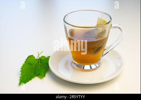 Nesseltee in einer durchsichtigen Tasse, mit einem Beutel in Wasser getaucht, und einer weißen Untertasse mit Nesselblättern daneben. Heilende Nesselinfusion. Stockfoto