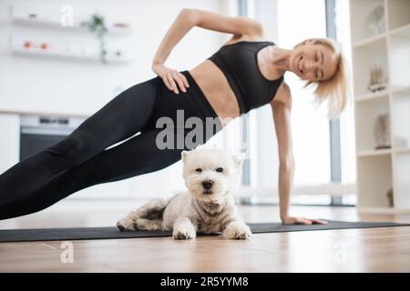 Konzentrieren Sie sich auf West Highland White Terrier, der auf Yoga-Matte ruht, unter einer Frau, die Vasisthasana-Übungen in der Küche macht. Süßes kleines Haustier nimmt gerne an einem Ganzkörpertraining Teil, das zu Hause durchgeführt wird. Stockfoto
