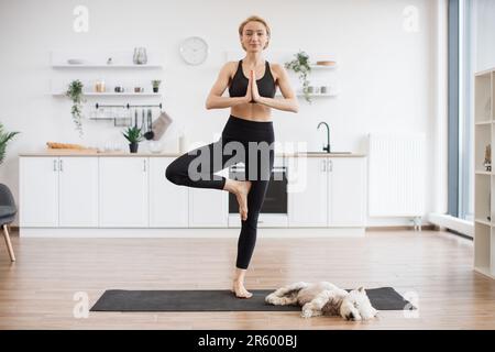 Ein langes Porträt einer fröhlichen Sportlerin, die in der Baumposition steht, mit Händen in anjali Mudra neben dem niedlichen Hund, der auf der Matte schläft. Junger weißer Erwachsener beruhigt den Geist in Vrikshasana beim Yoga-Workout zu Hause. Stockfoto