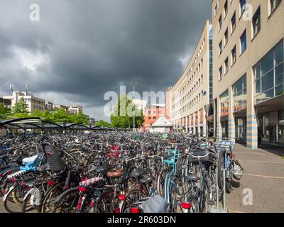 Fahrräder, die unter einem Unterstand vor dem Hauptbahnhof Amersfoort, Niederlande, Europa abgestellt werden. Stockfoto