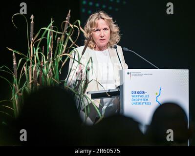 Schwedt, Deutschland. 06. Juni 2023. Steffi Lemke (Grüne), Bundesumweltminister, spricht auf der oder-Konferenz. Letzten Sommer wurde ein Massenfisch im oder-Fluss getötet. Experten in Deutschland und Polen kamen zu dem Schluss, dass die toxische Wirkung der Algenblüte höchstwahrscheinlich den Tod der Fische verursacht hat. Kredit: Patrick Pleul/dpa/Alamy Live News Stockfoto