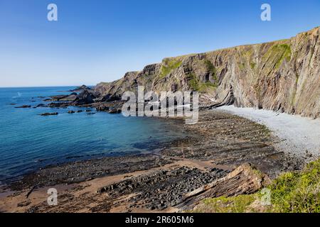 Hartland Quay Beach an einem Sommertag mit hellblauem Himmel, Devon, Großbritannien Stockfoto