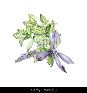 Ein Set von Aquarellelementen im Skizzenstil. Helle Minze mit Blättern und Blumen. Tee-Set. Für Postkarten und Design. Stockfoto