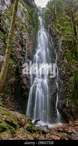 Der Burgbach-Wasserfall im Nadelwald fällt über Granitfelsen in das Tal bei Bad Rippoldsau-Schapbach, Schwarzwald, Deutschland. Unglaublich Stockfoto