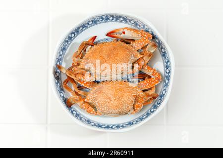 Heißes, blaues Schwimmen auf Keramikplatte. Blumenkrabbe oder Blaukrabbe oder Blaue Manna Sandkrabbe Stockfoto