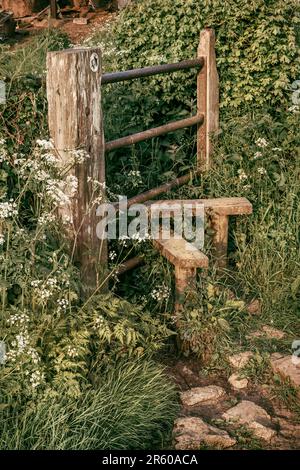 Ein gut abgenutzter Pfahl, der den Weg zu einem Fußweg in der ländlichen Landschaft von Wiltshire freigibt. Stockfoto