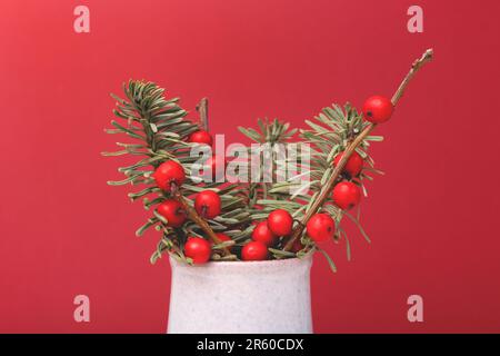 Strauß aus Nobilis-Tanne und winterberry-Zweigen in einer Vase vor rotem Hintergrund. Konzept mit Kopierbereich. Stockfoto